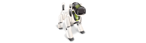 Robots